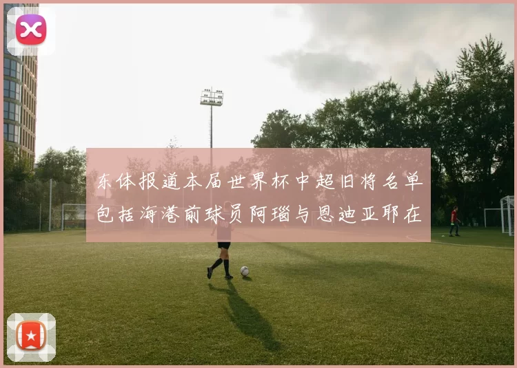 东体报道本届世界杯中超旧将名单包括海港前球员阿瑙与恩迪亚耶在内的10位球员